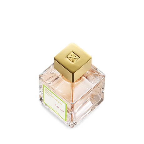Parfum amyris on sale